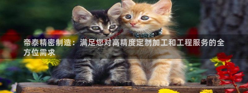 彩神争霸老平台：帝泰精密制造：满足您对高精度定制加工和工程服务的全
方位需求