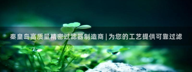 彩神ll能赚钱吗：秦皇岛高质量精密过滤器制造商 | 为您的工艺提供可靠过滤
