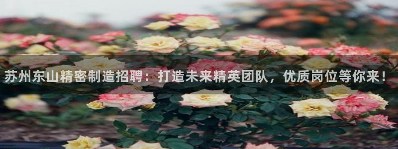 彩神8是正规平台吗：苏州东山精密制造招聘：打造未来精英团队，优质岗位等你来！