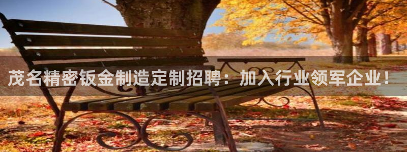 彩神官方网站登录是多少