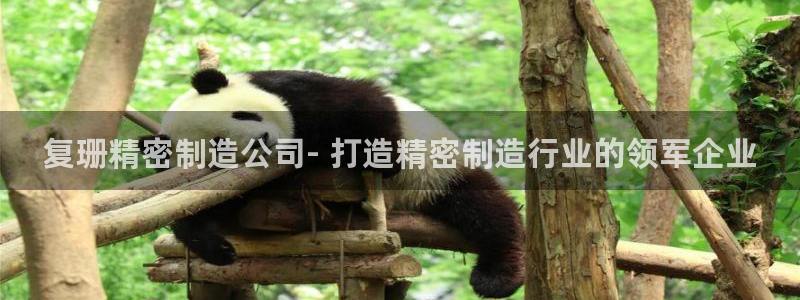 彩神ll能赚钱吗：复珊精密制造公司- 打造精密制造行业的领军企业