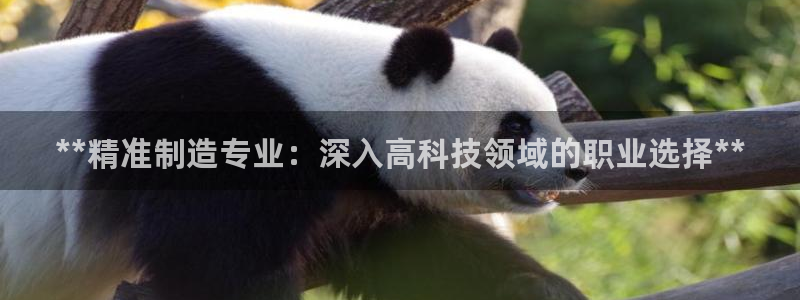 新版彩神v8登录不了：**精准制造专业：深入高科技领域的职业选择**