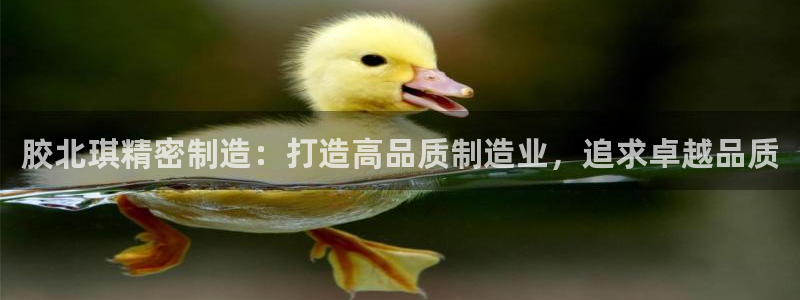 彩神是正规平台吗知乎：胶北琪精密制造：打造高品质制造业，追求卓越品质