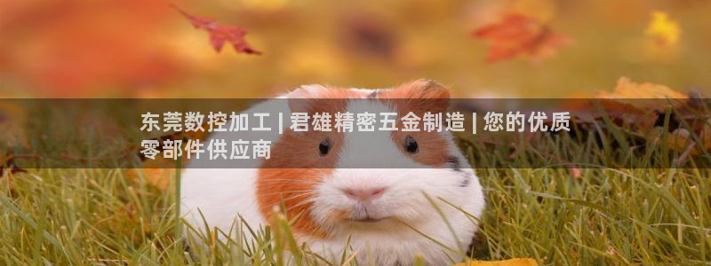 彩神广告有限公司：东莞数控加工 | 君雄精密五金制造 | 您的优质
零部件供应商