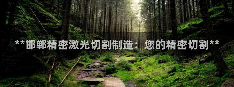彩神v8平台正规吗安全吗：**邯郸精密激光切割制造：您的精密切割**