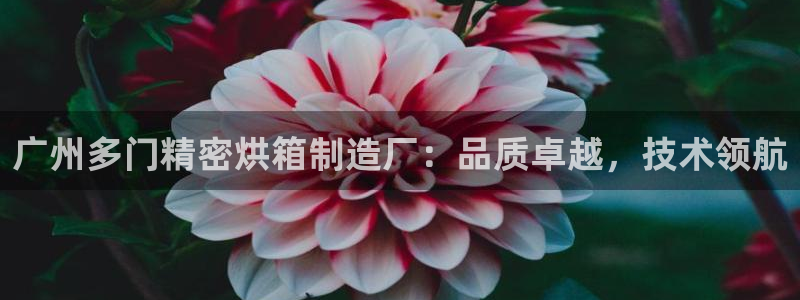 彩神v8首页：广州多门精密烘箱制造厂：品质卓越，技术领航