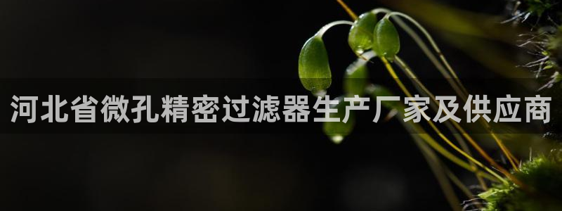 彩神xapp官方网站：河北省微孔精密过滤器生产厂家及供应商