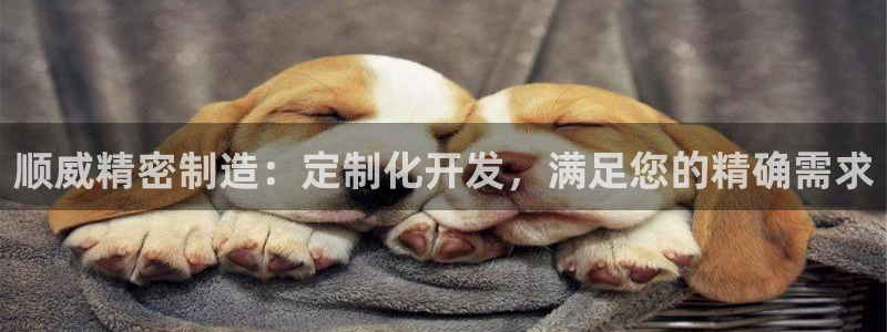 彩神iv争霸购彩大厅：顺威精密制造：定制化开发，满足您的精确需求