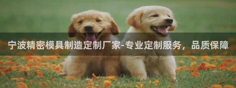 彩神输的钱是赌博还是诈骗：宁波精密模具制造定制厂家-专业定制服务，品质保障