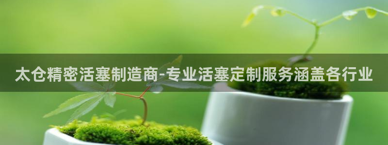 彩神大发官网：太仓精密活塞制造商-专业活塞定制服务涵盖各行业
