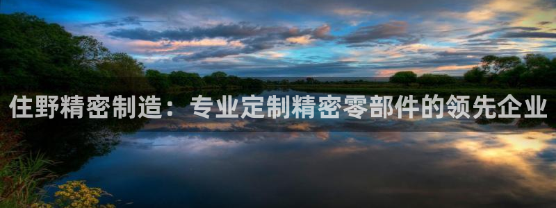 彩神v8手机客户端下载：住野精密制造：专业定制精密零部件的领先企业