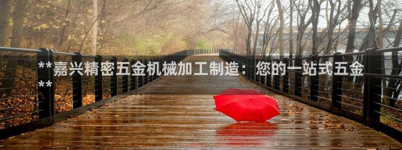 下载彩神乐发V：**嘉兴精密五金机械加工制造：您的一站式五金
**