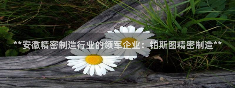 彩神v8官网版：**安徽精密制造行业的领军企业：铂斯图精密制造**