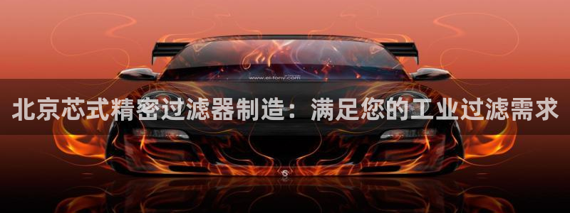 彩神平台注册登录：北京芯式精密过滤器制造：满足您的工业过滤需求