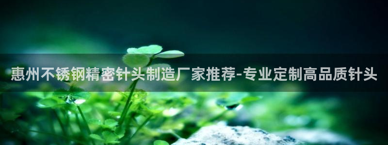 彩神xapp官方网站：惠州不锈钢精密针头制造厂家推荐-专业定制高品质针头