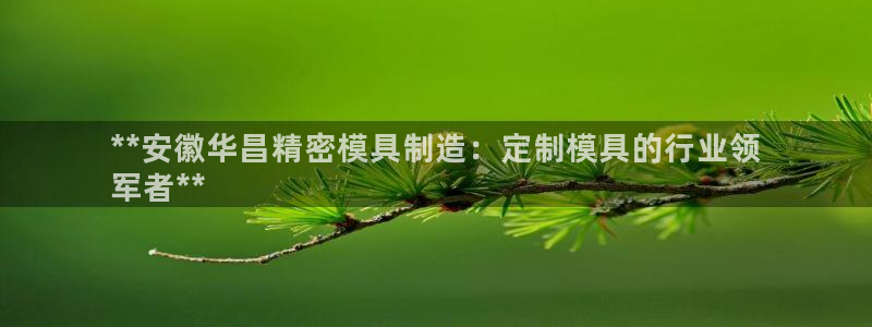 彩神v平台：**安徽华昌精密模具制造：定制模具的行业领
军者**