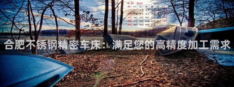 彩神v8是一个什么平台游戏：合肥不锈钢精密车床：满足您的高精度加工需求