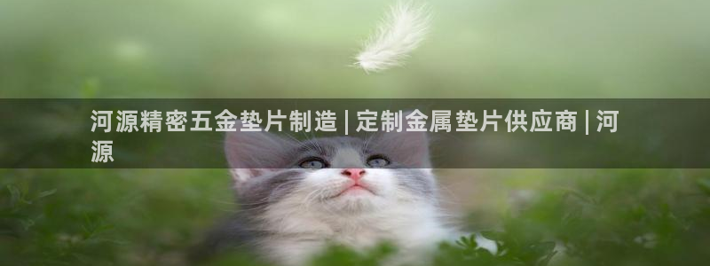 彩神旗下有哪些平台可以玩