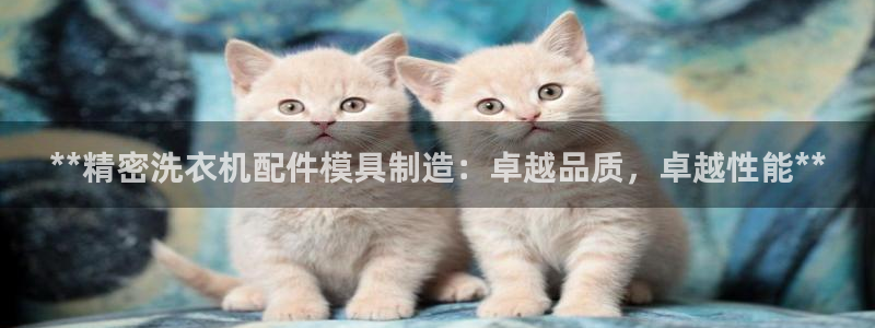 v大发彩神8iii：**精密洗衣机配件模具制造：卓越品质，卓越性能**