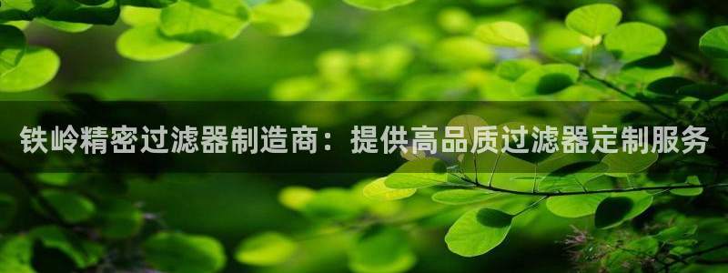 彩神v争霸是啥：铁岭精密过滤器制造商：提供高品质过滤器定制服务