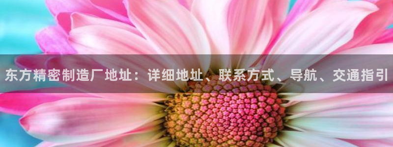 彩神vii手游下载：东方精密制造厂地址：详细地址、联系方式、导航、交通指引