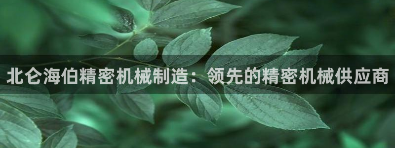 天天赢彩神：北仑海伯精密机械制造：领先的精密机械供应商