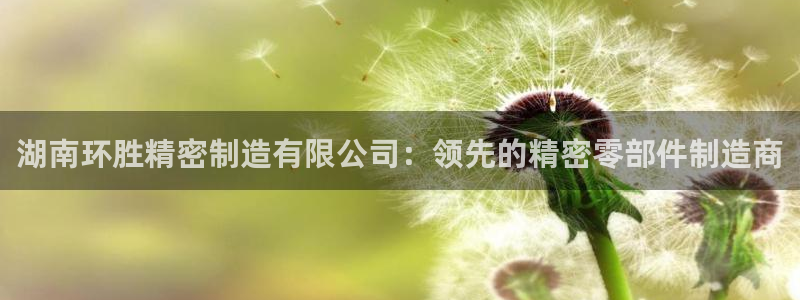 彩神大发黑平台：湖南环胜精密制造有限公司：领先的精密零部件制造商