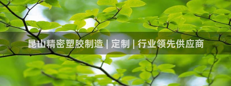 彩神v下载安装：昆山精密塑胶制造 | 定制 | 行业领先供应商