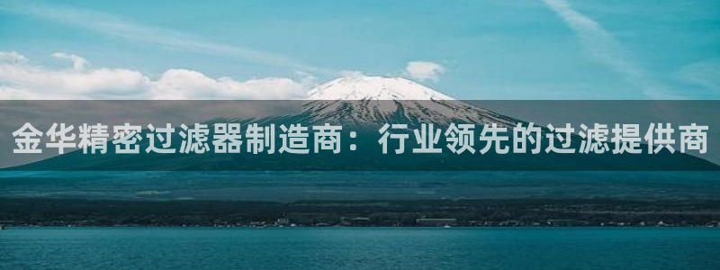 彩神VII购彩中心：金华精密过滤器制造商：行业领先的过滤提供商