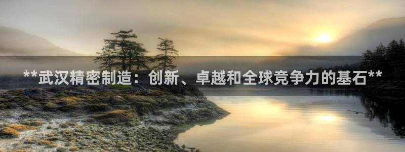 彩神viii是正规平台吗?：**武汉精密制造：创新、卓越和全球竞争力的基石**