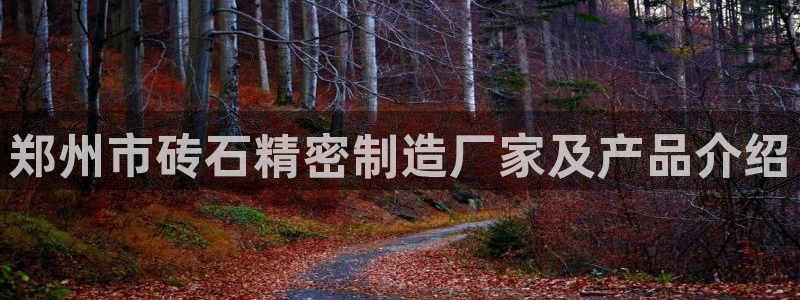 彩神购彩-购彩大厅入口：郑州市砖石精密制造厂家及产品介绍
