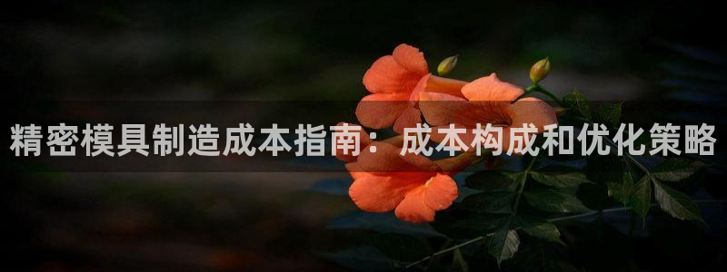 彩神vllⅰ购彩大厅：精密模具制造成本指南：成本构成和优化策略