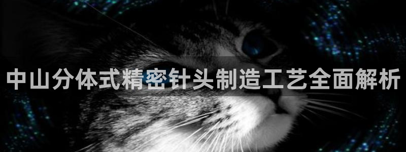 彩神新微聊：中山分体式精密针头制造工艺全面解析