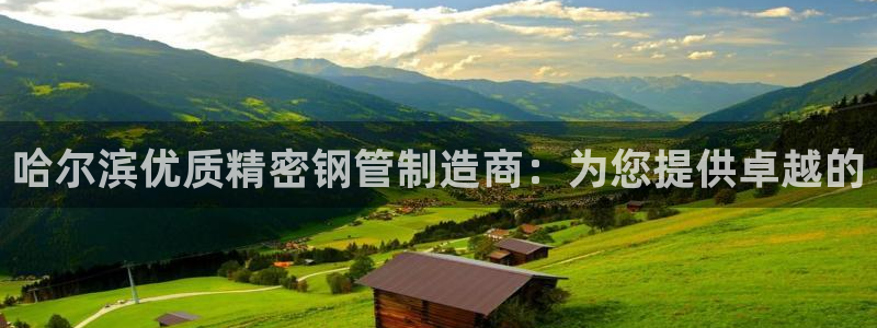 彩神平台是什么套路：哈尔滨优质精密钢管制造商：为您提供卓越的