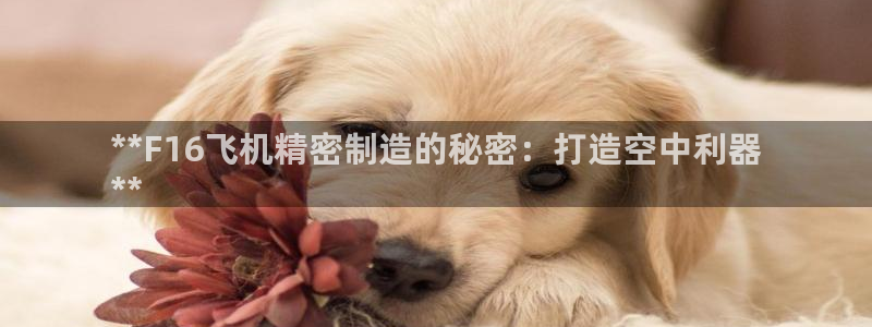 彩神v网赌软件下载：**F16飞机精密制造的秘密：打造空中利器
**