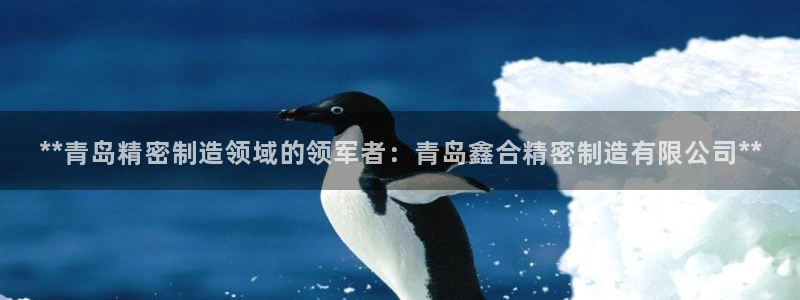 下载彩神争霸谁与我争锋：**青岛精密制造领域的领军者：青岛鑫合精密制造有限公司**