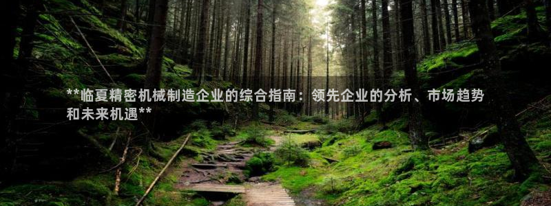 彩神ios下载：**临夏精密机械制造企业的综合指南：领先企业的分析、市场趋势
和未来机遇**
