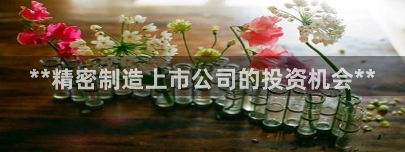 彩神v集团有限公司：**精密制造上市公司的投资机会**