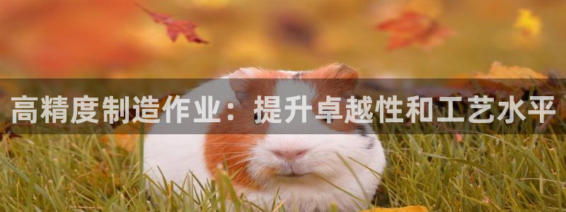 彩神官方网站登录是多少