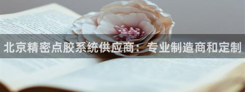彩神ios下载：北京精密点胶系统供应商：专业制造商和定制
