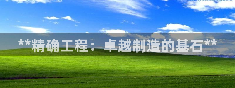 彩神v8平台正规吗：**精确工程：卓越制造的基石**