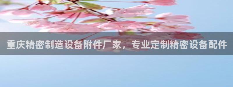 彩神争霸官网登录平台：重庆精密制造设备附件厂家，专业定制精密设备配件