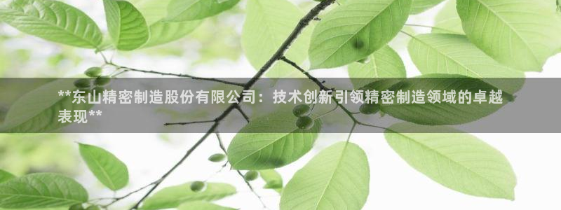 彩神vlll游戏特色：**东山精密制造股份有限公司：技术创新引领精密制造领域的卓越
表现**