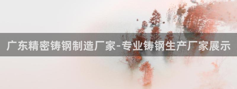 彩神通官网下载：广东精密铸钢制造厂家-专业铸钢生产厂家展示