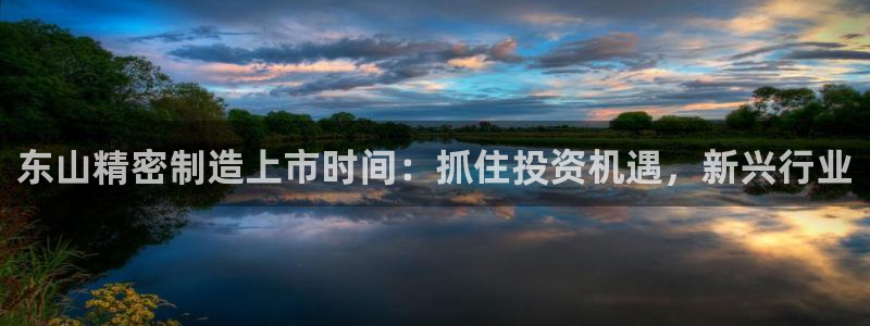 彩神赢的钱是哪里来的啊：东山精密制造上市时间：抓住投资机遇，新兴行业