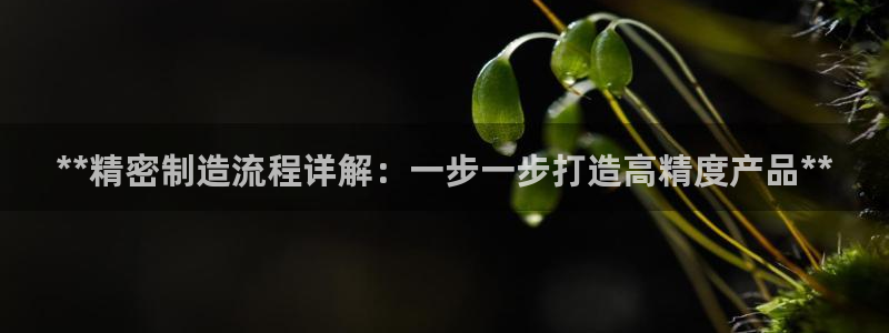彩神8彩平台客服：**精密制造流程详解：一步一步打造高精度产品**