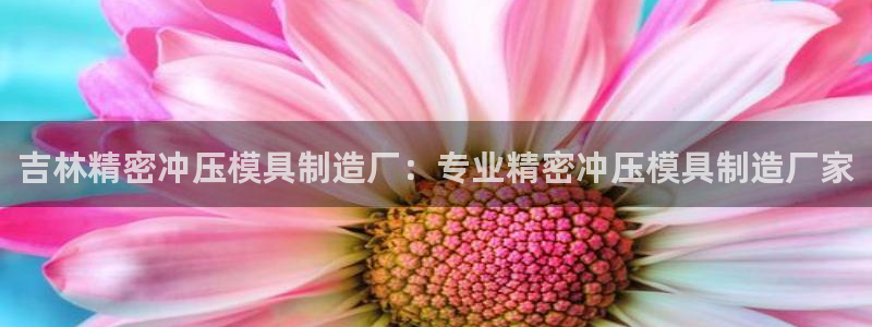 彩神网合法吗：吉林精密冲压模具制造厂：专业精密冲压模具制造厂家