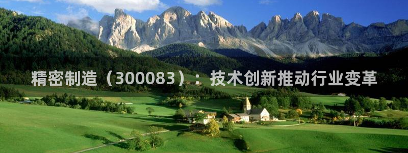 彩神赢钱了吗：精密制造（300083）：技术创新推动行业变革
