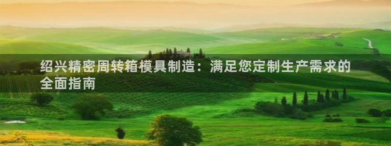 彩神是怎样一个平台赚钱的：绍兴精密周转箱模具制造：满足您定制生产需求的
全面指南