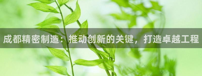 彩神v|：成都精密制造：推动创新的关键，打造卓越工程